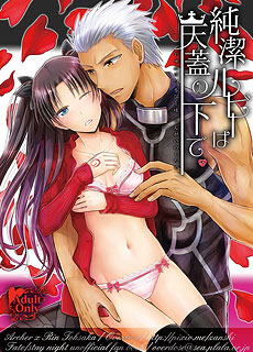 命运守护夜远坂凛Archer本子